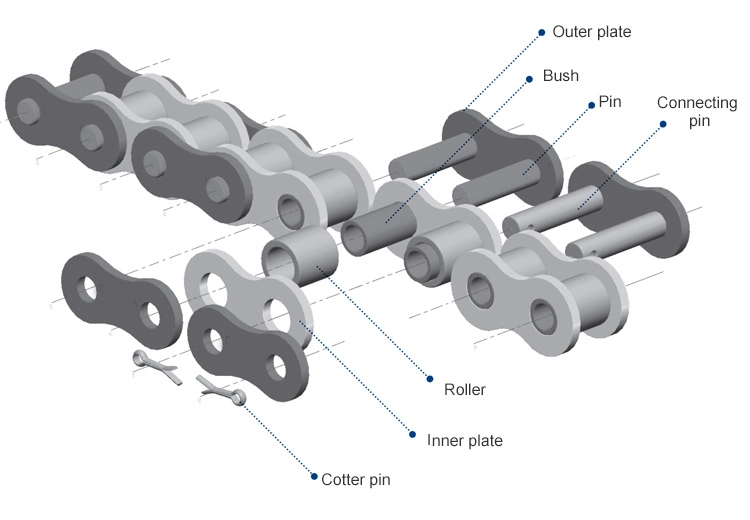 Chains Supplier Customized Stainless Steel Short Pitch Precision (A series) Single Roller Chain